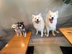 -小意思咖啡店(草桥店)
