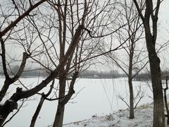 -东郊湿地公园