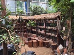 -北京呀路古热带植物园