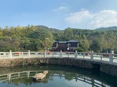 -白马涧龙池景区