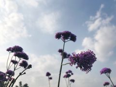 -杭州城北体育公园