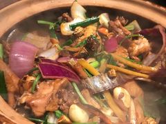 -胡须佬鸡煲四季火锅(海雅缤纷城店)