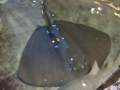 -鸿通城购物中心