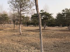 -东郊湿地公园