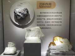 -湖南省地质博物馆