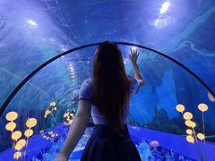 -重庆欢乐海底世界