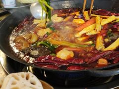 -黄潇洒老火锅(九眼桥宏济巷店)