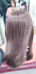 -镁连社·美联社