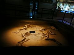 -洛阳周王城天子驾六博物馆