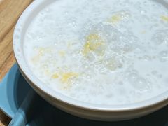 -杨枝金捞甜品(氹仔泉澧店)