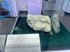 -中国第四纪冰川遗迹陈列馆