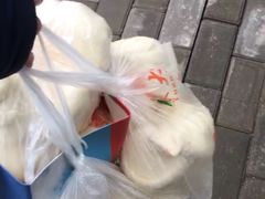 -袁大头包子(光华路店)