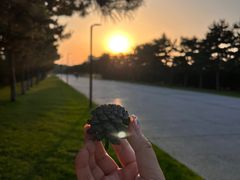 -汉长安城未央宫国家考古遗址公园