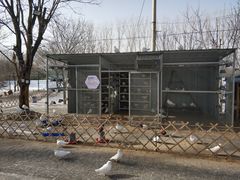 -1982农场