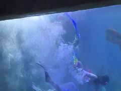 -梦幻海洋王国(吾悦广场张家港店)
