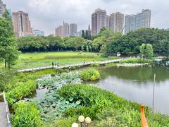 -东山湖公园