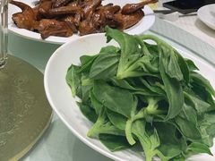 冰草-金时代顺风大酒店(协泰店)