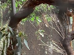 -费瑟代尔野生动物园