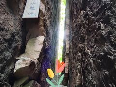 -五女峰国家森林公园