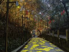 -九龙潭景区