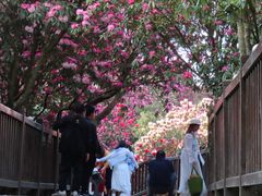 -御轩足道·SPA·养生·保健(瑞金北路店)