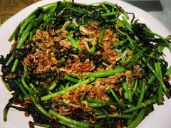 双椒煎茼蒿-郑州烤鸭总店