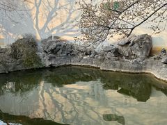 -常熟方塔园