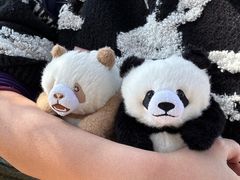 -栾川竹海野生动物园