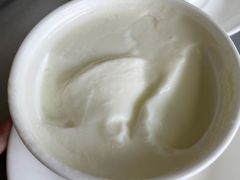 驰名双皮奶-沙湾姜撞奶甜品店(昌岗中路店)