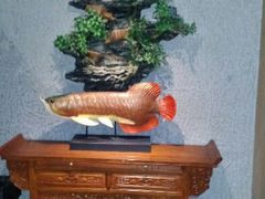 android_upload_pic-富侨养生(康乾店)