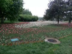 -长春公园(普阳街道)