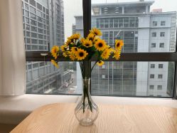 -韩国淼美颜皮肤管理官方直营店