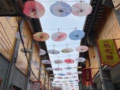 -传说中那条蛋散