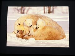 -罗红摄影艺术馆