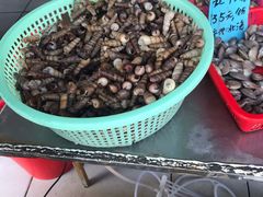 -有间冰室(侨港风情街店)