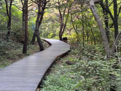 -棒棰岛宾馆景区