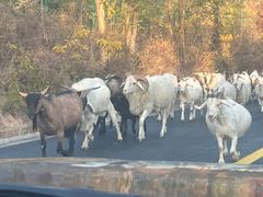 -玉渡山自然风景区