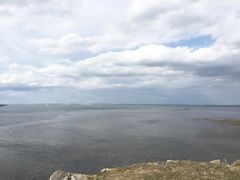 -企鹅岛