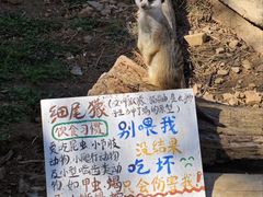 -无锡动物园·太湖欢乐园
