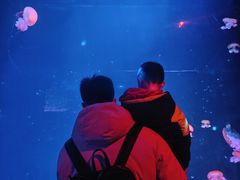 -哈尔滨波塞冬海底世界