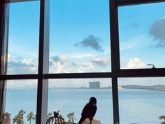-彩丰楼中餐厅·仁恒洲际酒店