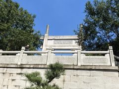 -紫金山山顶公园