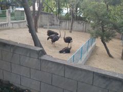 -攀枝花公园