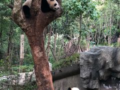 -陈记麻辣烫(浦口道店)