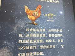 -吉林市博物馆