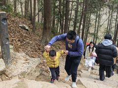 -冶父山国家森林公园