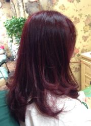 -Every Day Hair Studio