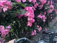 -钱江新城