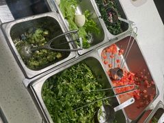 -油梨树 AVOCADO TREE(亮马桥店)