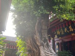 -叩齿古寺